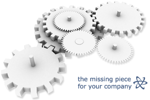 the missing piece from your company's puzzle